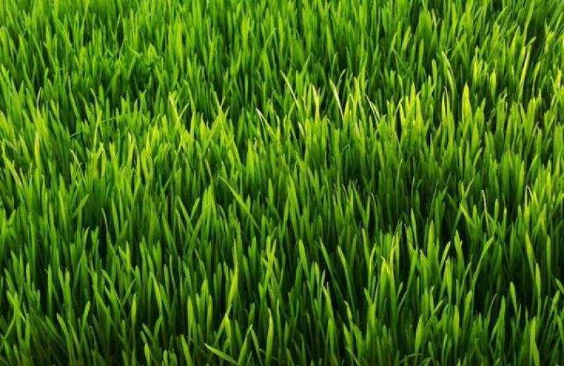 Arborfield Acres, Arborfield, RG2 9JX