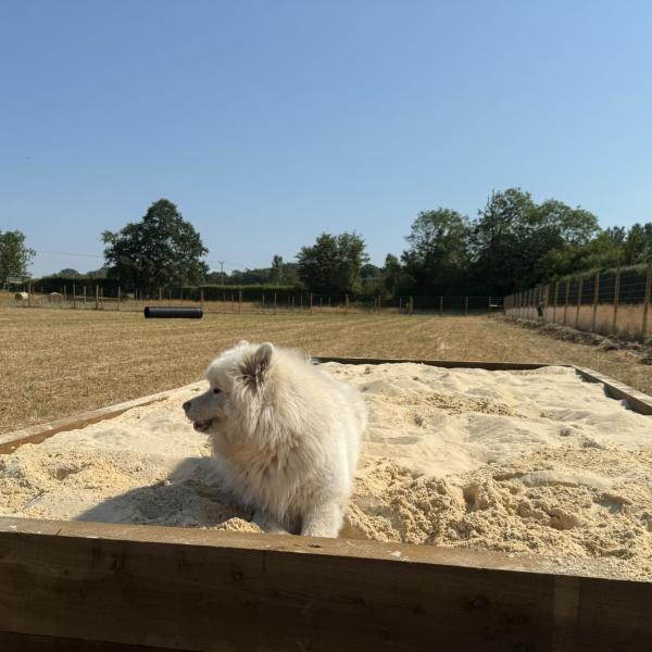 Arborfield Acres photo